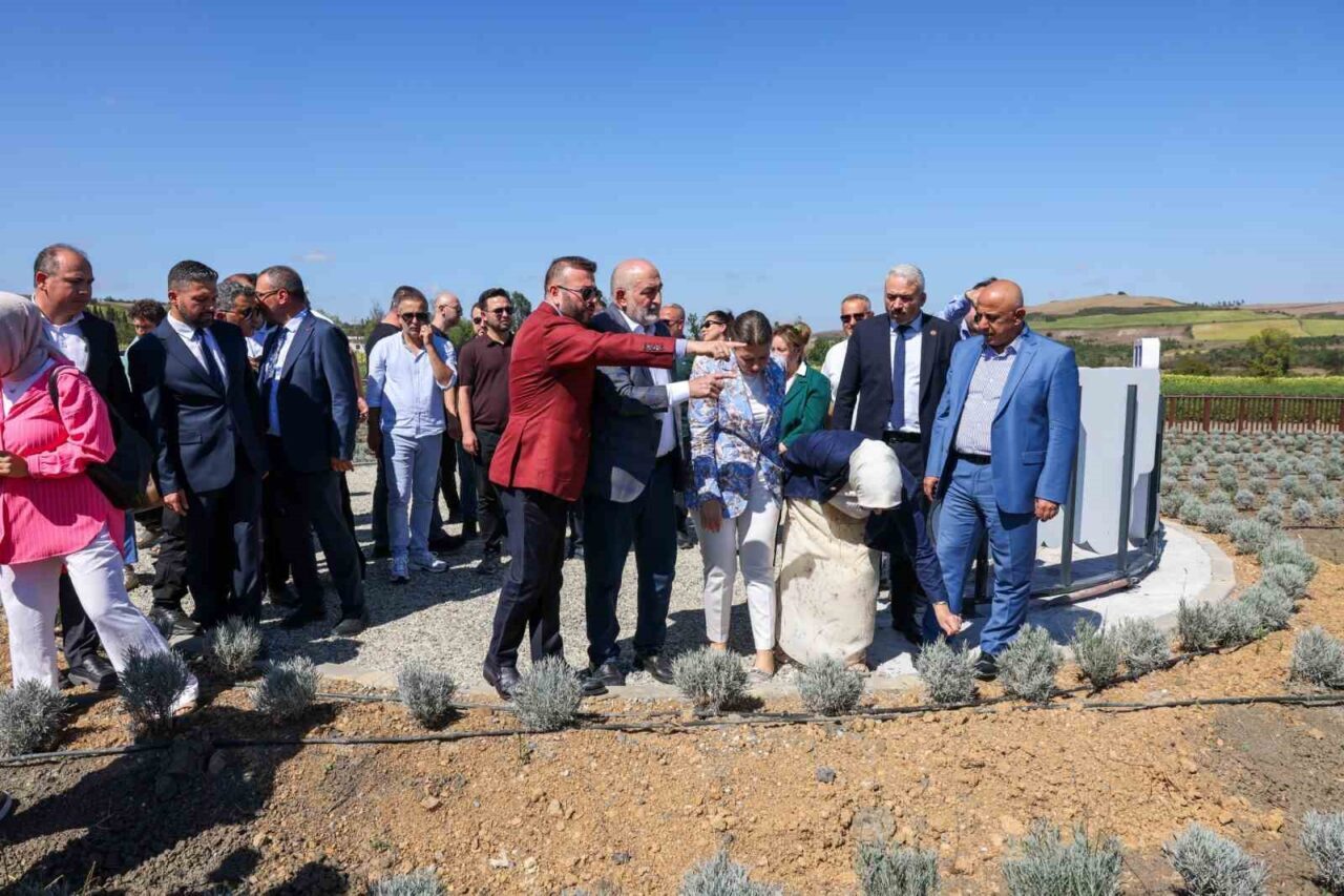 Arnavutköy’de tarım turizmi projesi: Çilek ve lavanta bahçesi açılış töreni gerçekleştirildi 19 Bülten Medya -