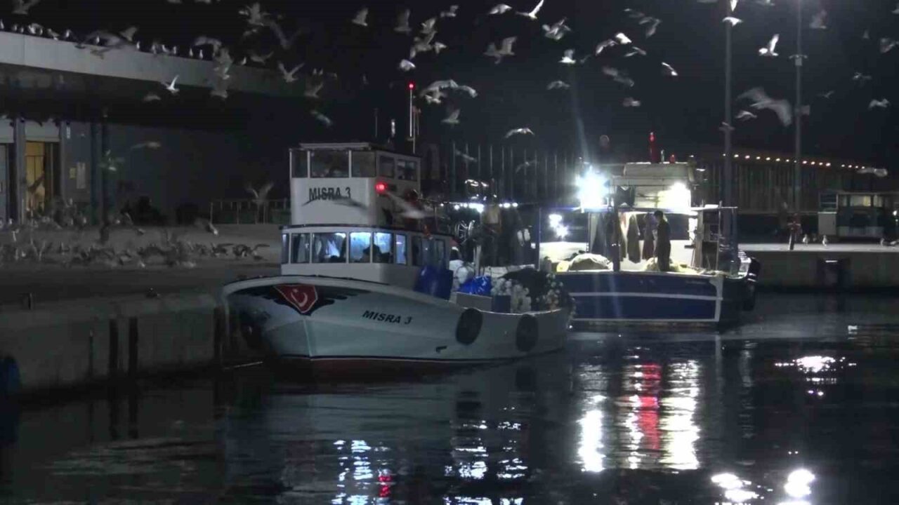 Av yasağının bitmesiyle İstanbul’da sezonun ilk balıkları bu gece avlandı 20 Bülten Medya -