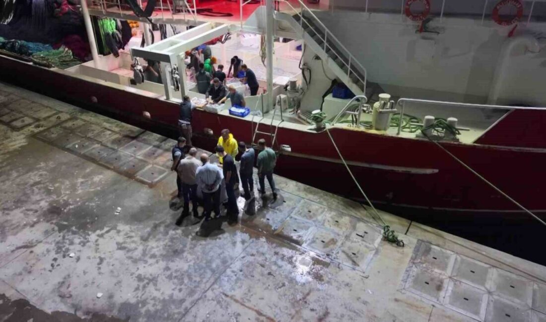 Av yasağının bitmesiyle İstanbul’da sezonun ilk balıkları bu gece avlandı Av yasağının sona ermesiyle balıkçılar aylar sonra yeniden ’Vira Bismillah’