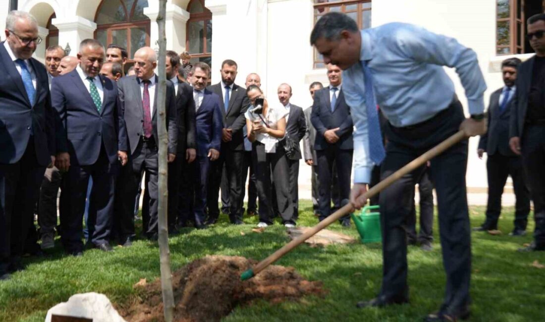İçişleri Bakanı Mustafa Çiftçi, Bilecik Valiliği bahçesinde adını taşıyan çınar