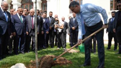 İçişleri Bakanı Mustafa Çiftçi, Bilecik Valiliği bahçesinde adını taşıyan çınar