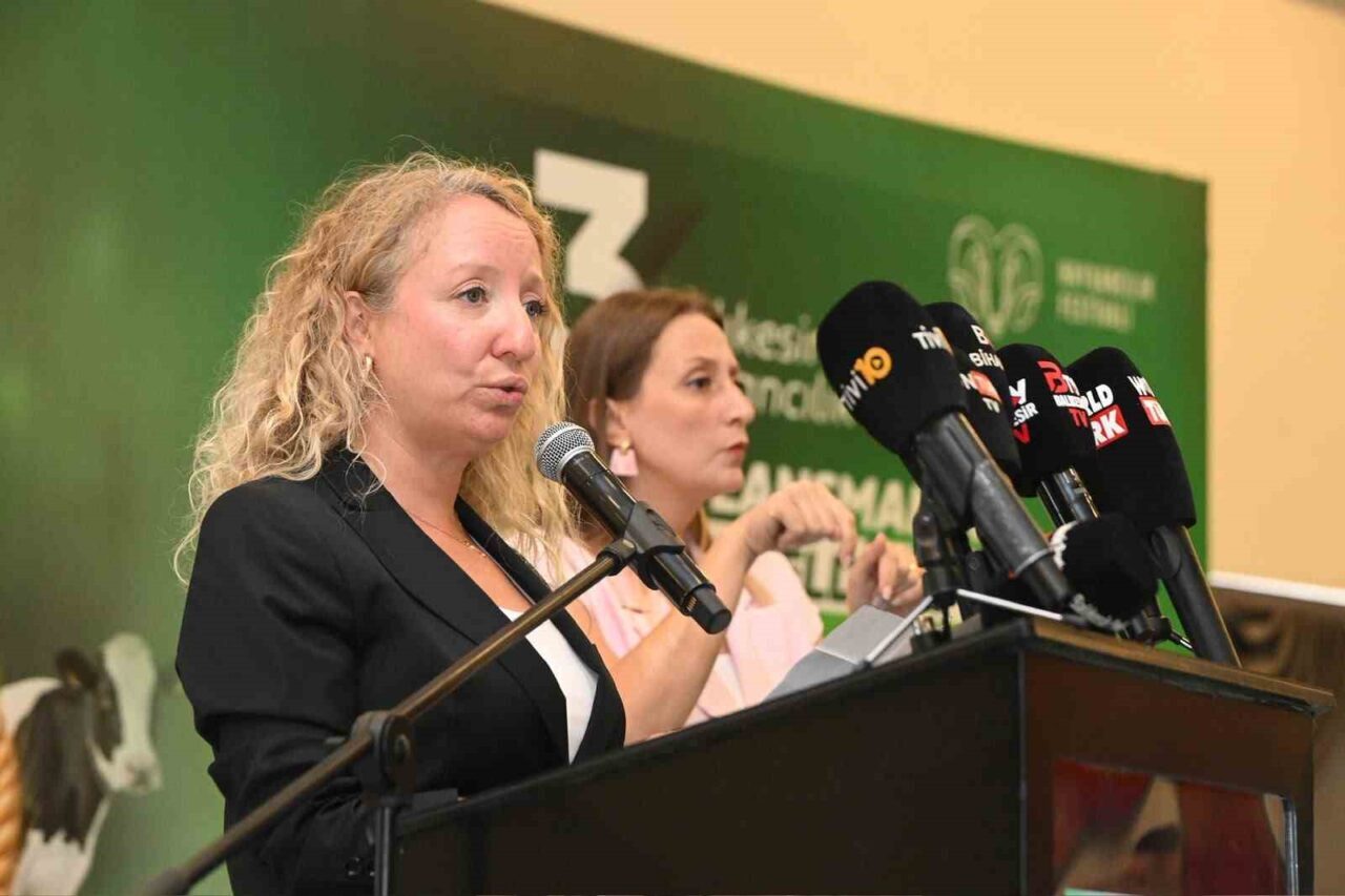 Bülten Medya -