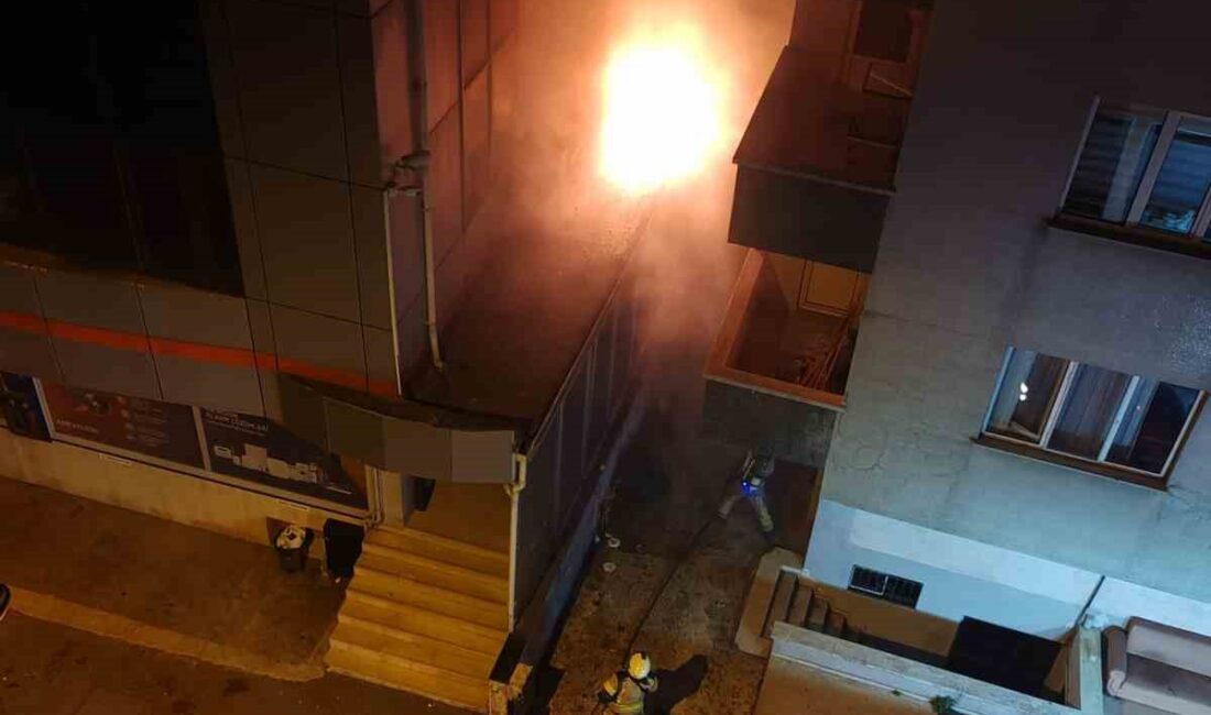 Beykoz’da iş yeri yangını Beykoz’da bir iş yerinde çıkan yangın, itfaiye ekiplerinin müdahalesiyle söndürüldü.