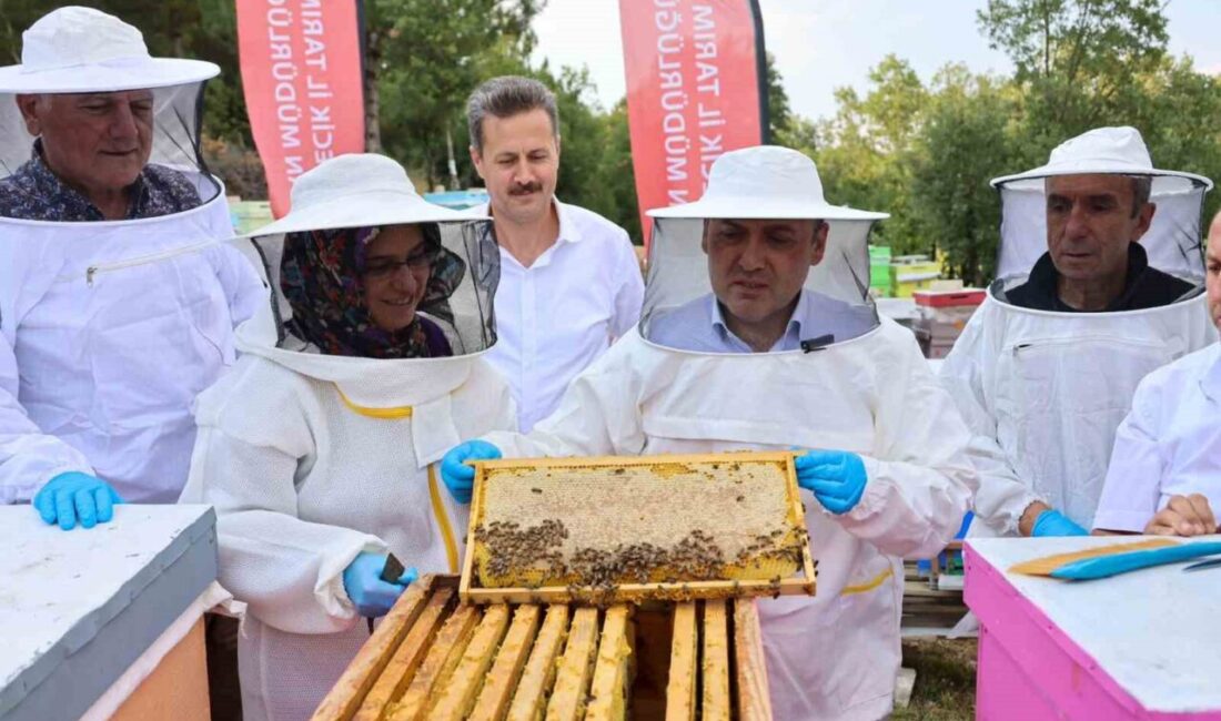 Bilecik’te 22 bin 500 kovandan 135 ton bal üretiliyor Bilecik kent genelinde 22 bin 500 aktif kovandan yılda ortalama