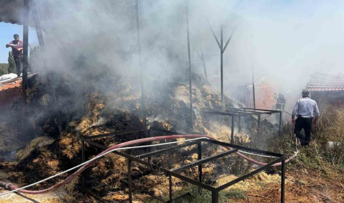 Bilecik’te iki köyde çıkan yangında çok miktarda saman balyası yandı Bilecik’in Bozüyük ilçesinde iki farklı köyde çıkan yangında çok miktarda