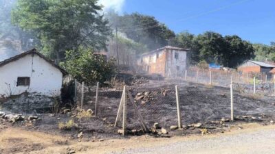 Bilecik’te dün çıkan ve ormanlık alana sıçrayan yangına sebebiyet verdiği