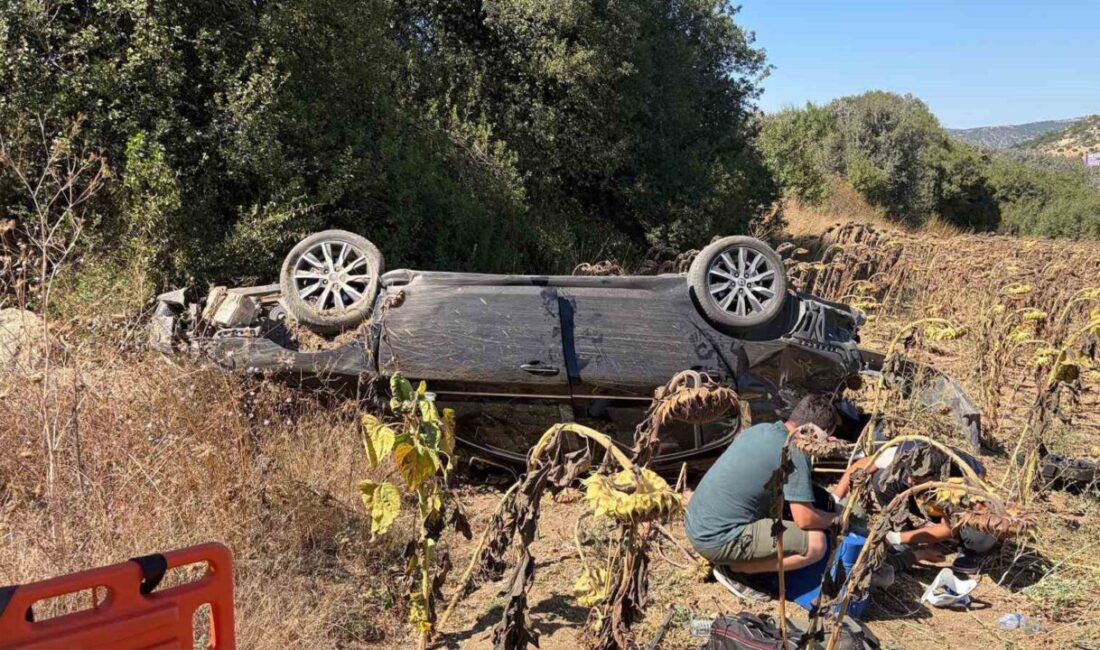 Bilecik’te otomobil tarlaya savruldu: 1 yaralı Bilecik’te otomobilin tarlaya savrulması sonucu meydana gelen trafik kazasında 1