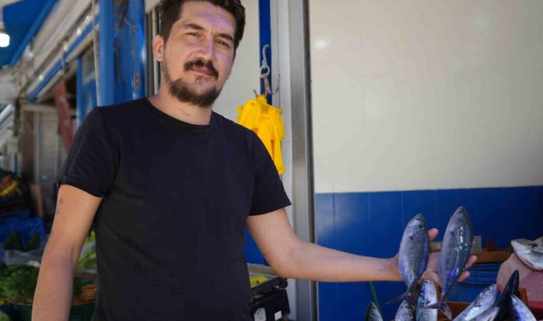 Balıkçılar müjdeyi verdi: Palamuda doyacağız! 5 aylık av yasağının ardından denize açılan balıkçılar, sezonun ilk