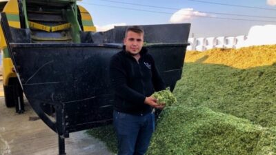 Süt ve et hayvancılığında yem fiyatları artarken, besiciler maliyetleri azaltmak