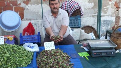 Burhaniye ilçesinde, bamya fiyatları tavan yaparken, fiyatlar üreticileri sevindirdi. 8