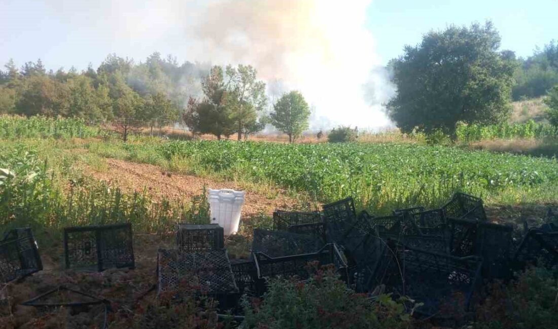 Bursa’nın Kestel ilçesinde ormanlık alanda çıkan yangına havadan ve karadan