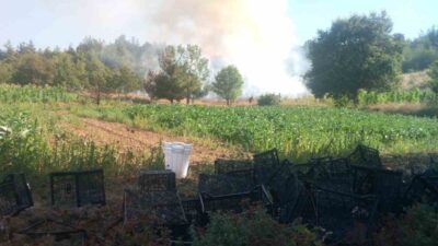 Bursa’nın Kestel ilçesinde ormanlık alanda çıkan yangına havadan ve karadan