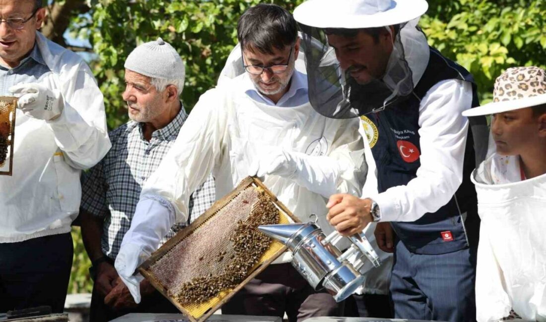 Bursa Büyükşehir Belediyesi, kırsal kalkınmayı önceleyen çalışmalar kapsamında kovan desteği