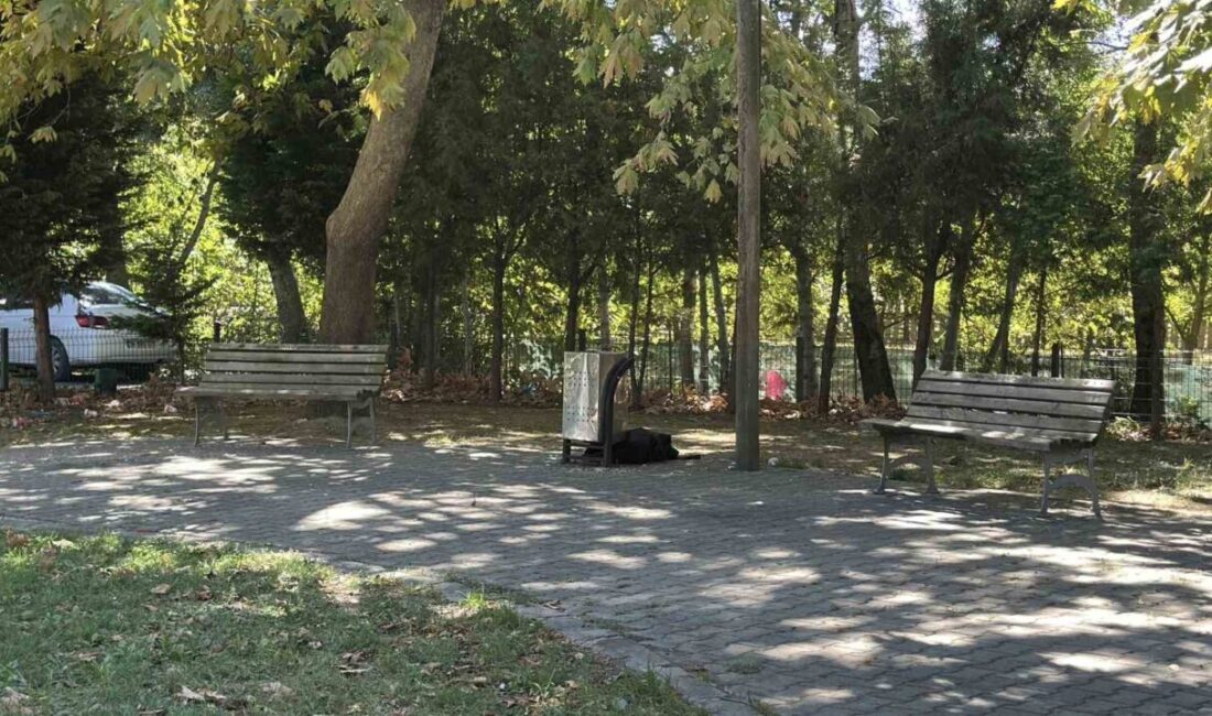 Cami parkındaki bankta şüpheli ölüm Sakarya’nın Adapazarı ilçesinde, cami önündeki parkta hareketsiz halde bulunan 62