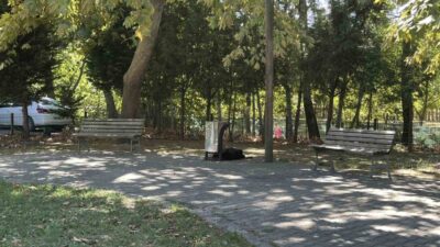Sakarya’nın Adapazarı ilçesinde, cami önündeki parkta hareketsiz halde bulunan 62