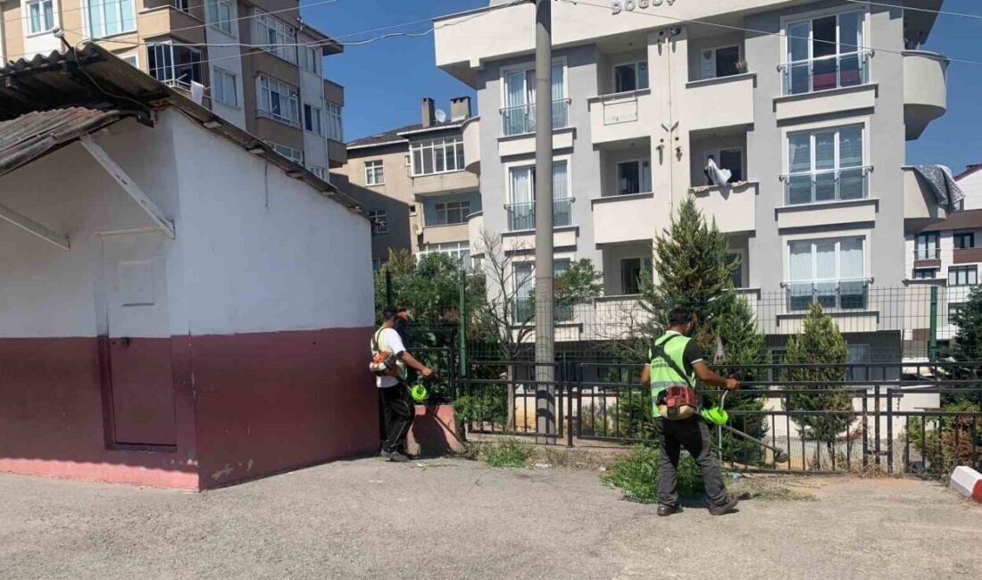 Çayırova’da okullar yeni eğitim yılına hazırlanıyor Çayırova’da yeni eğitim-öğretim dönemi öncesinde ilçe genelindeki okulların bahçelerinde yabani