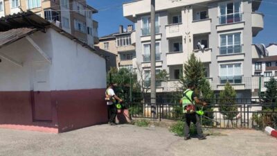 Çayırova’da yeni eğitim-öğretim dönemi öncesinde ilçe genelindeki okulların bahçelerinde yabani