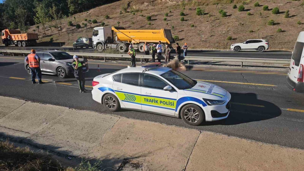 Çevre yoluna çıkan büyükbaş zincirleme kazaya sebep oldu 4 Bülten Medya -