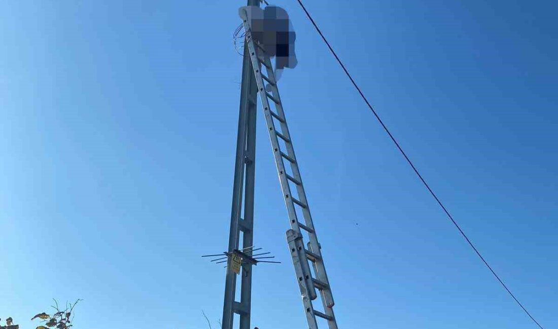 Çıktığı direkte akıma kapılan elektrikçi hayatını kaybetti Sakarya’nın Kocaali ilçesinde tırmandığı direkte akıma kapılan elektrikçi hayatını kaybetti.