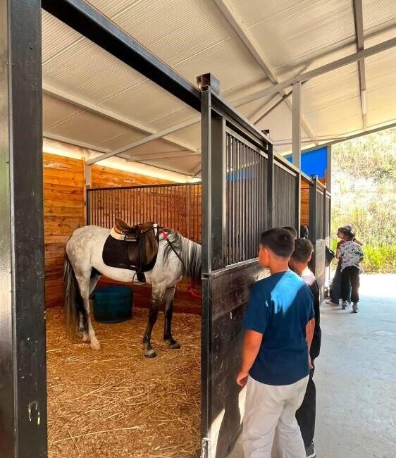 Çocuklara atlı spor sürprizi Bilecik’te çocuklara atlı spor sürprizi yapıldı. Bilecik Aile ve Sosyal