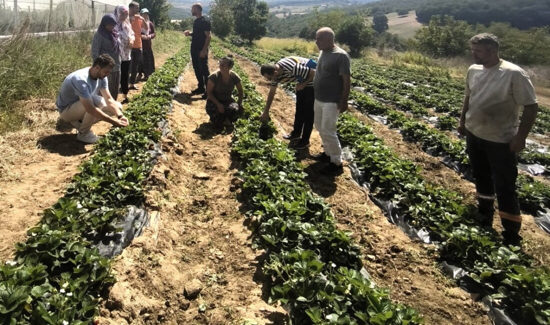 Dağköy’de kadın ve gençlerle üretim büyüyor Kocaeli’de kırsal üretimin güçlendirilmesi amacıyla kadın ve gençlerin de dahil