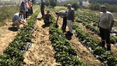 Kocaeli’de kırsal üretimin güçlendirilmesi amacıyla kadın ve gençlerin de dahil