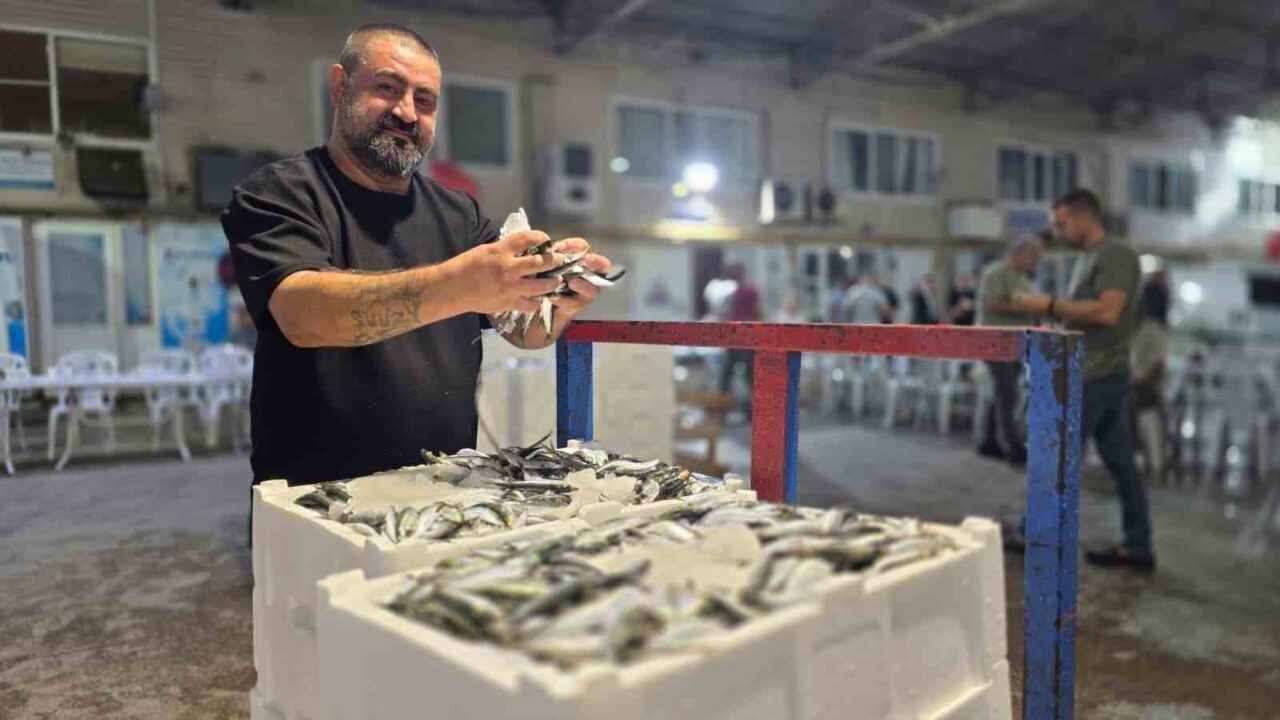 Denizlerde av sezonu başladı, Marmara’da ilk gün sardalya bereketi yaşandı 19 Bülten Medya -