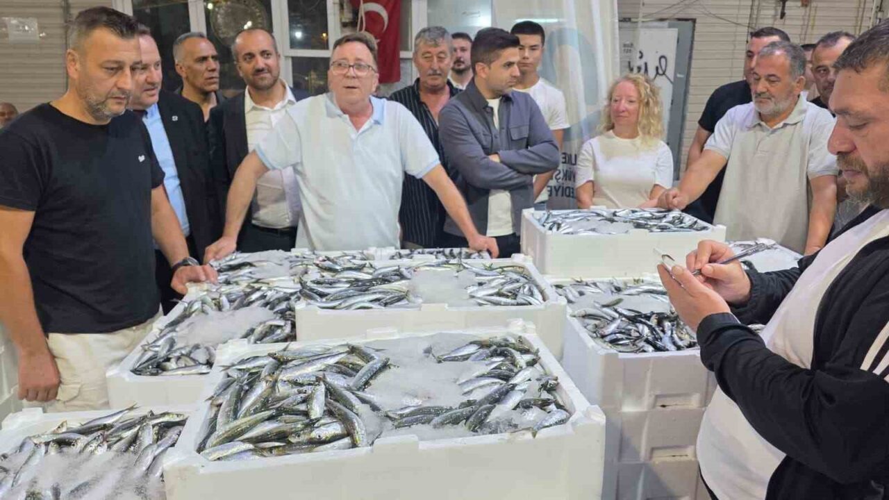 Denizlerde av sezonu başladı, Marmara’da ilk gün sardalya bereketi yaşandı 23 Bülten Medya -