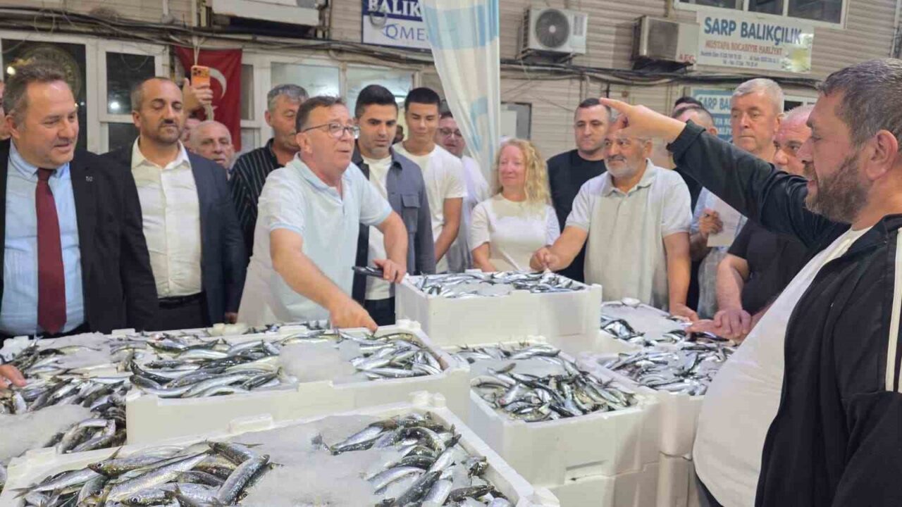 Denizlerde av sezonu başladı, Marmara’da ilk gün sardalya bereketi yaşandı 24 Bülten Medya -