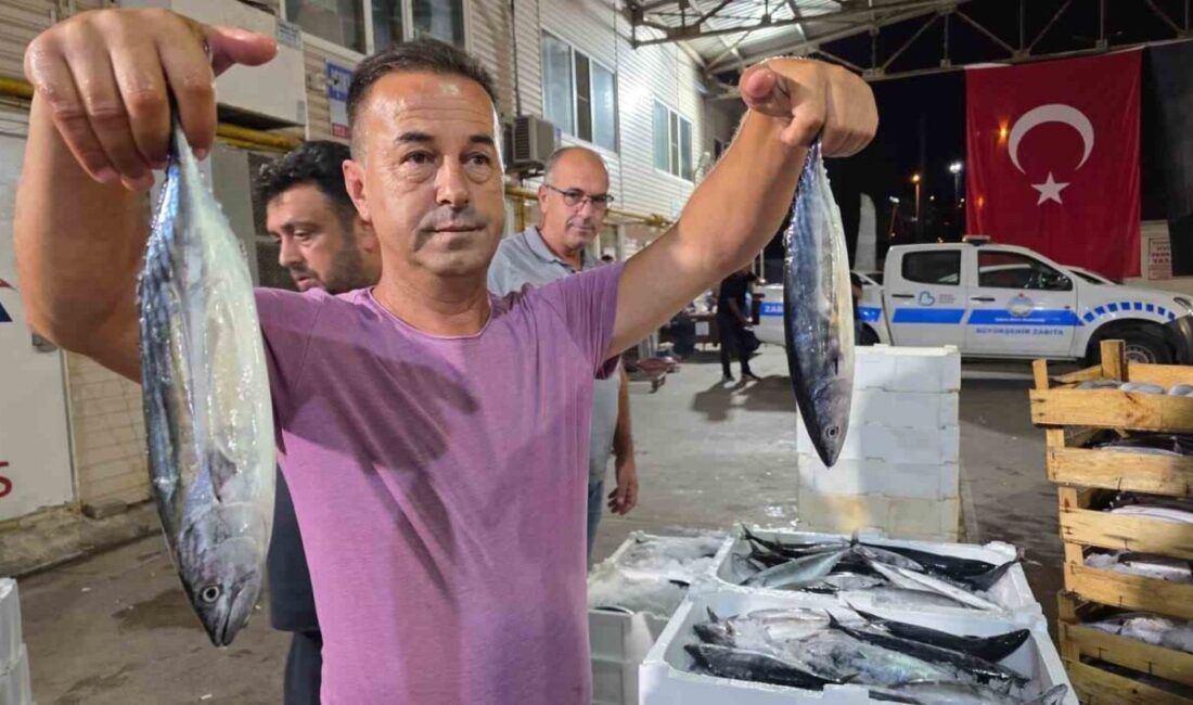 Denizlerde av sezonu başladı, Marmara’da ilk gün sardalya bereketi yaşandı Denizlerde av yasağının sona ermesiyle birlikte balıkçılar 1 Eylül itibarıyla