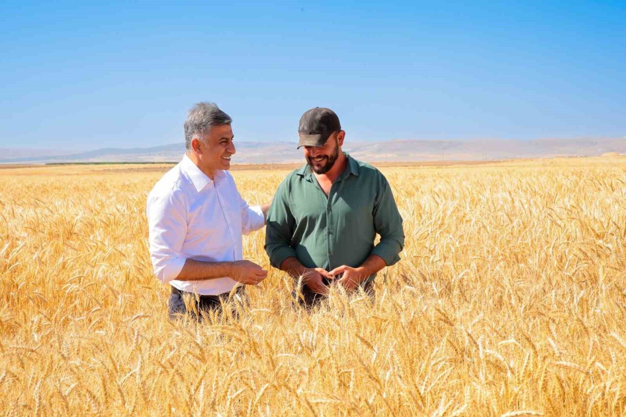 ETİ, kuraklığa dayanıklı Kanatlı Buğdayı’nın ilk tohumluk hasadını gerçekleştirdi 4 Bülten Medya -