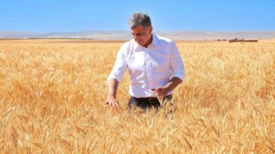 2004 yılında Eskişehir Geçit Kuşağı Tarımsal Araştırma Enstitüsü tarafından başlatılan