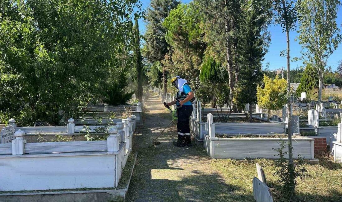 Gebze mezarlıklarında yabani ot temizliği Gebze genelindeki mezarlıklarda yabani ot ve dikenler temizleniyor. Kabirlerin çevresi