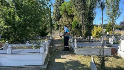 Gebze genelindeki mezarlıklarda yabani ot ve dikenler temizleniyor. Kabirlerin çevresi
