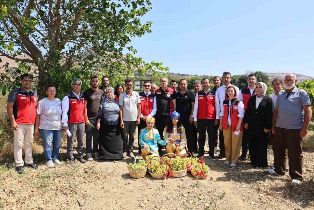 Gökçeada’da üzüm hasadı 22 Bülten Medya -