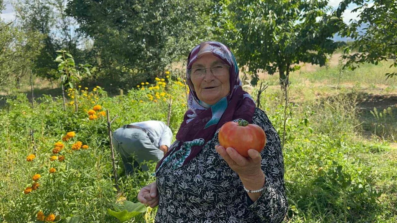 "Güvercin gübresini bir yıl bekletip sıvı halde veriyorum" 11 Bülten Medya -