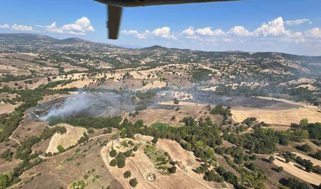 Helikopterler peşpeşe havalandı, yangın kontrol altına alındı Bursa’nın Büyükorhan ilçesinde tarım alanında başlayıp ormana sıçrayan yangın orman