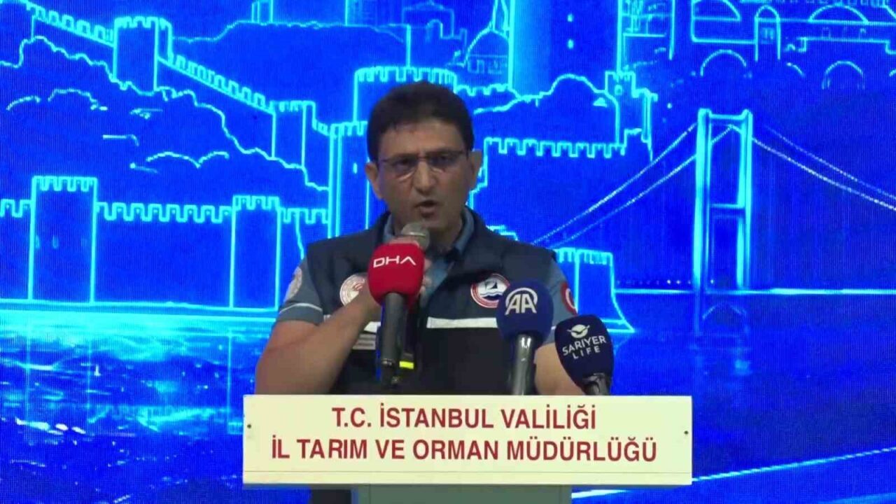 İstanbul’da 2026-2027 balıkçılık av sezonu açıldı 19 Bülten Medya -