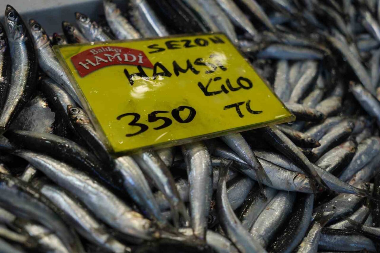 Kocaeli’de balık sezonu palamut bolluğuyla başladı 16 Bülten Medya -