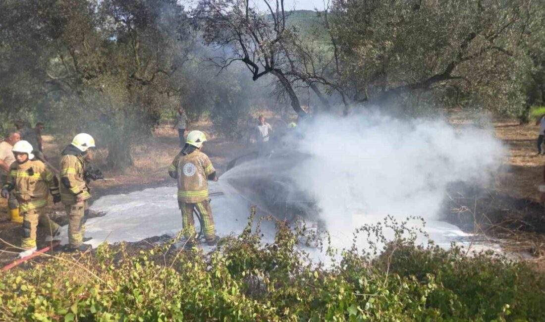 Kontrolden çıkan otomobil tarlada yandı: 1 ölü, 1’i çocuk 5 yaralı Bursa’nın Orhangazi ilçesinde İznik Yolu üzerinde meydana gelen feci trafik