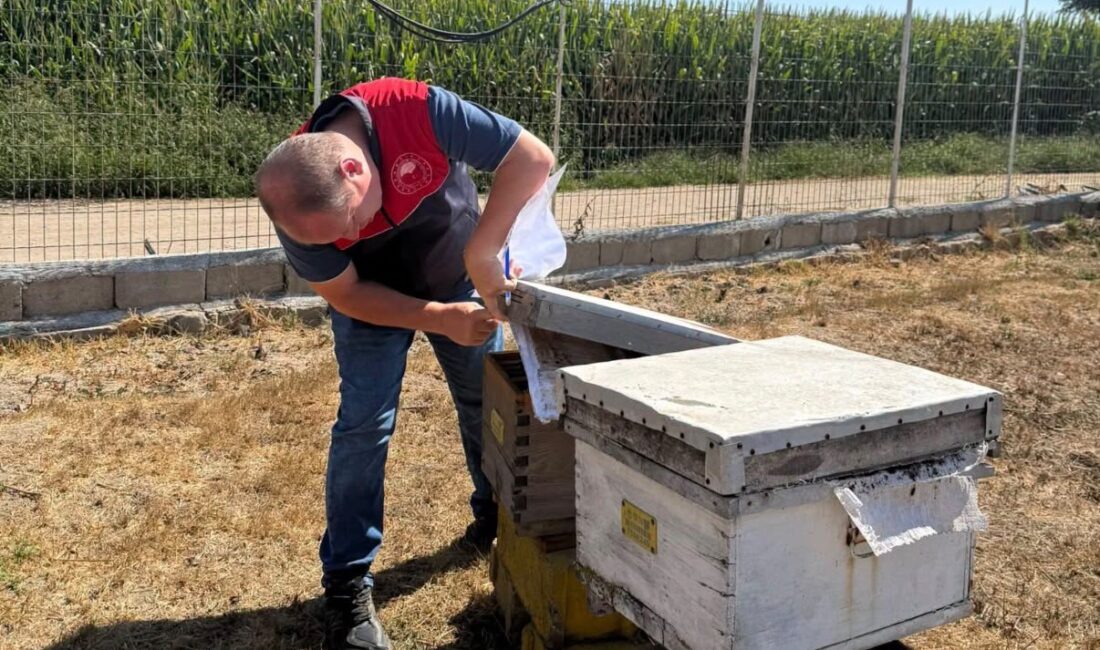 Kırklareli İl Tarım ve Orman Müdürlüğü teknik personelince, Lüleburgaz’da bulunan