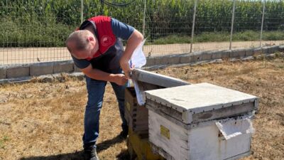 Kırklareli İl Tarım ve Orman Müdürlüğü teknik personelince, Lüleburgaz’da bulunan