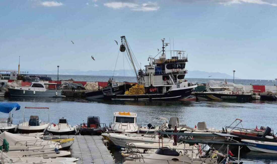 Marmara Denizi ulaşımına Poyraz engeli Marmara Denizi’nde etkili olan poyraz, Tekirdağ’da deniz ulaşımını olumsuz etkilerken,