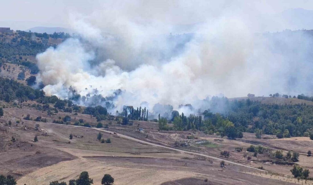 Bursa’nın Orhaneli ilçesinde çıkan orman yangınına havadan ve karadan müdahaleyle