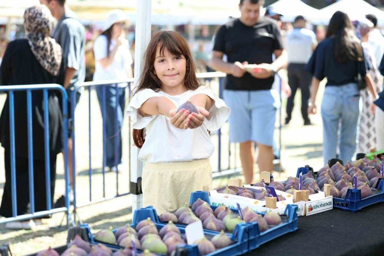 Osmangazi’nin siyah inciri festivalde görücüye çıktı 15 Bülten Medya -