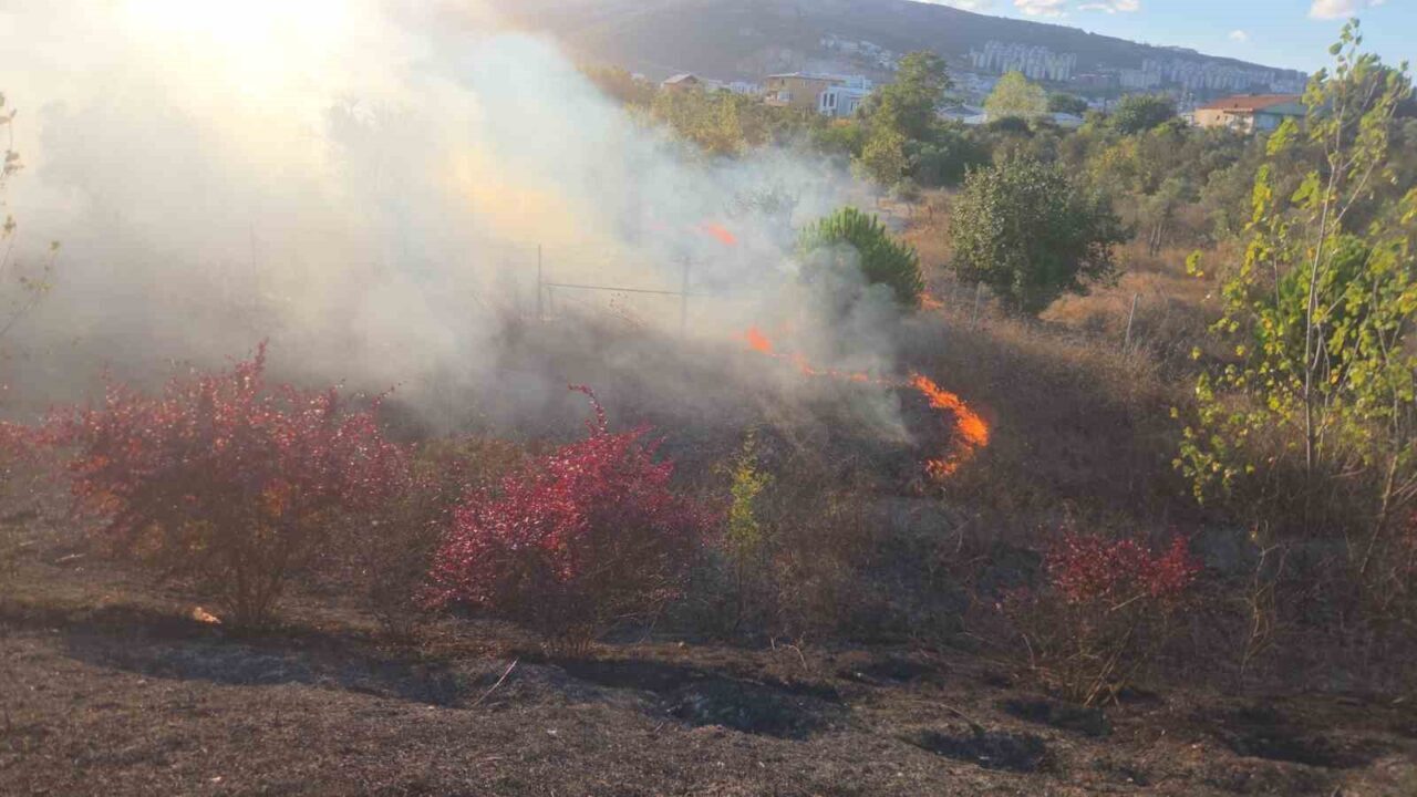 Otoyol kenarında başlayan yangın ağaçlara sıçradı 14 Bülten Medya -