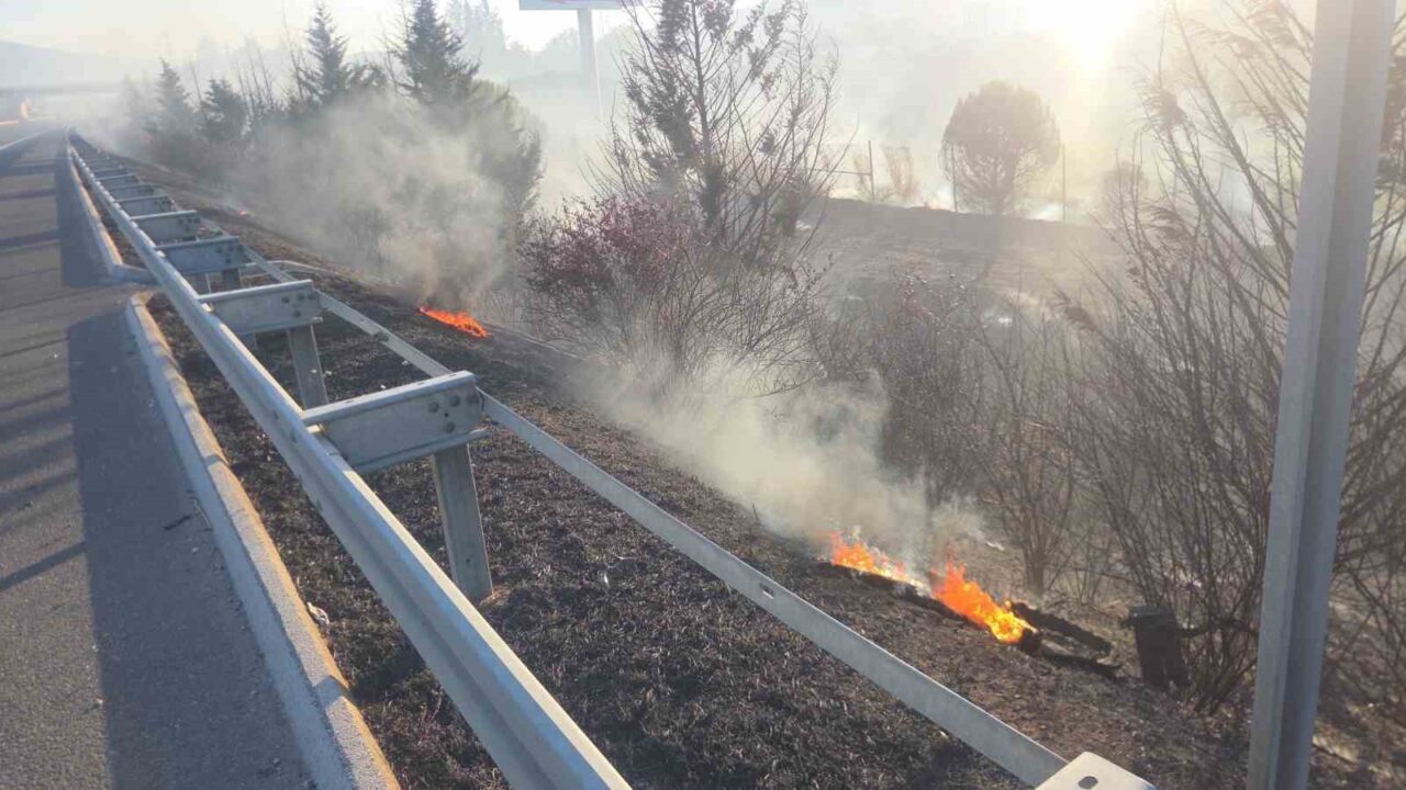 Otoyol kenarında başlayan yangın ağaçlara sıçradı 15 Bülten Medya -