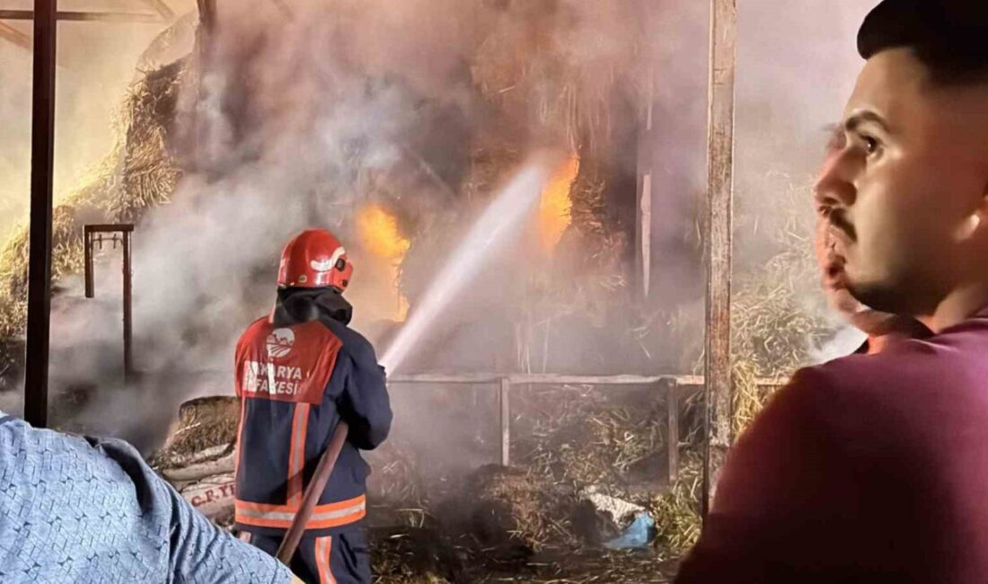 Sakarya’nın Adapazarı ilçesinde samanlıkta çıkan yangında binlerce saman balyası kül