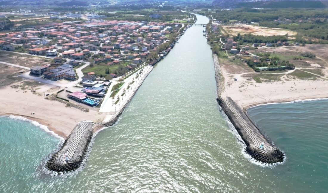 Karadeniz’de 1 Eylül itibarıyla başlayan yeni av sezonu balık bolluğuyla