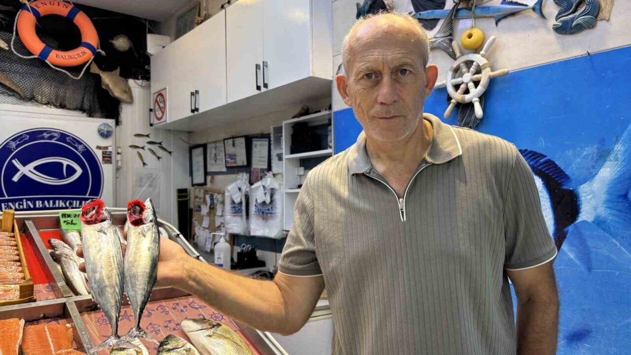 Sezonun ilk palamutları tezgahta 36 Bülten Medya -